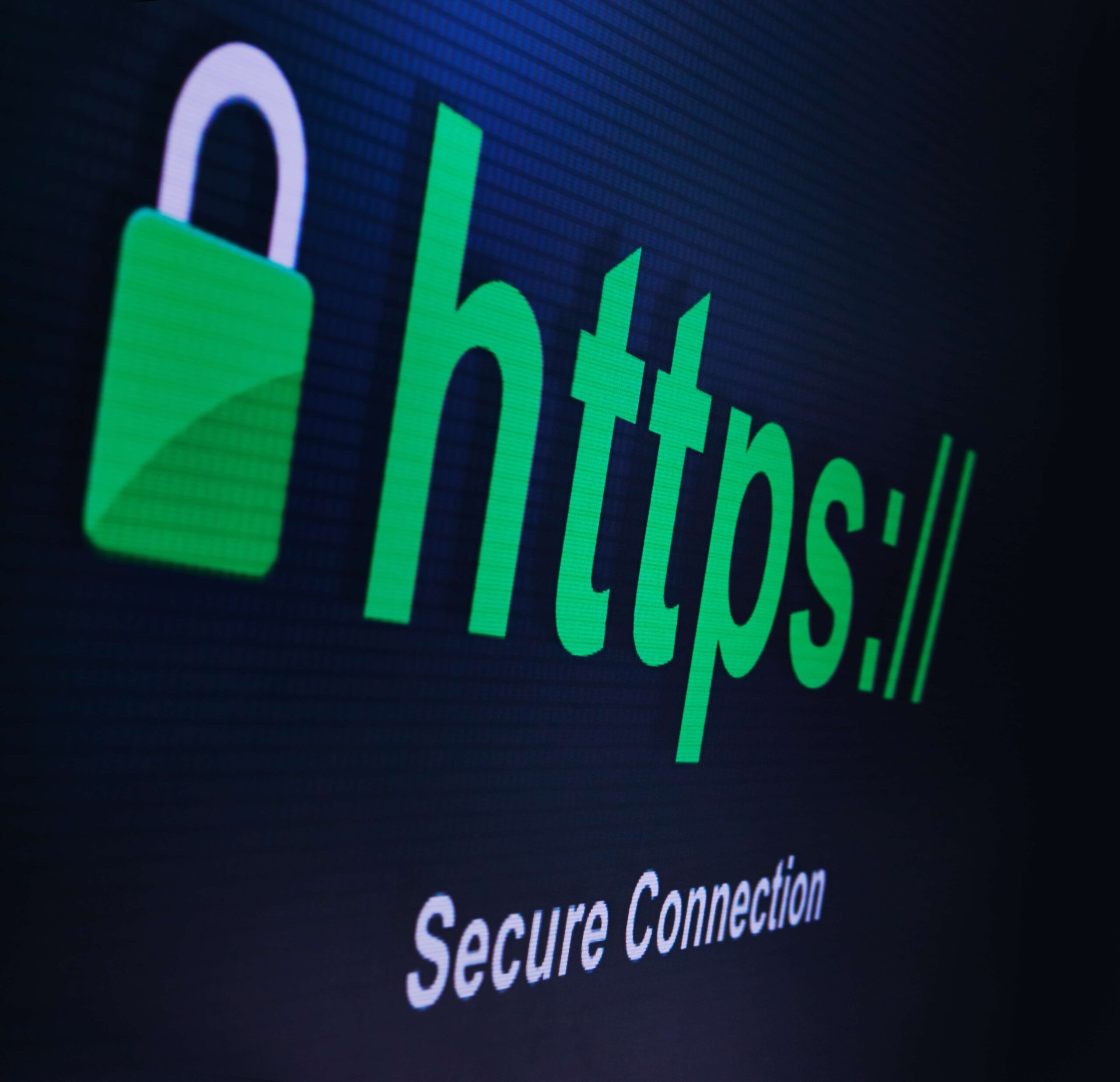 Team reviewing website security status